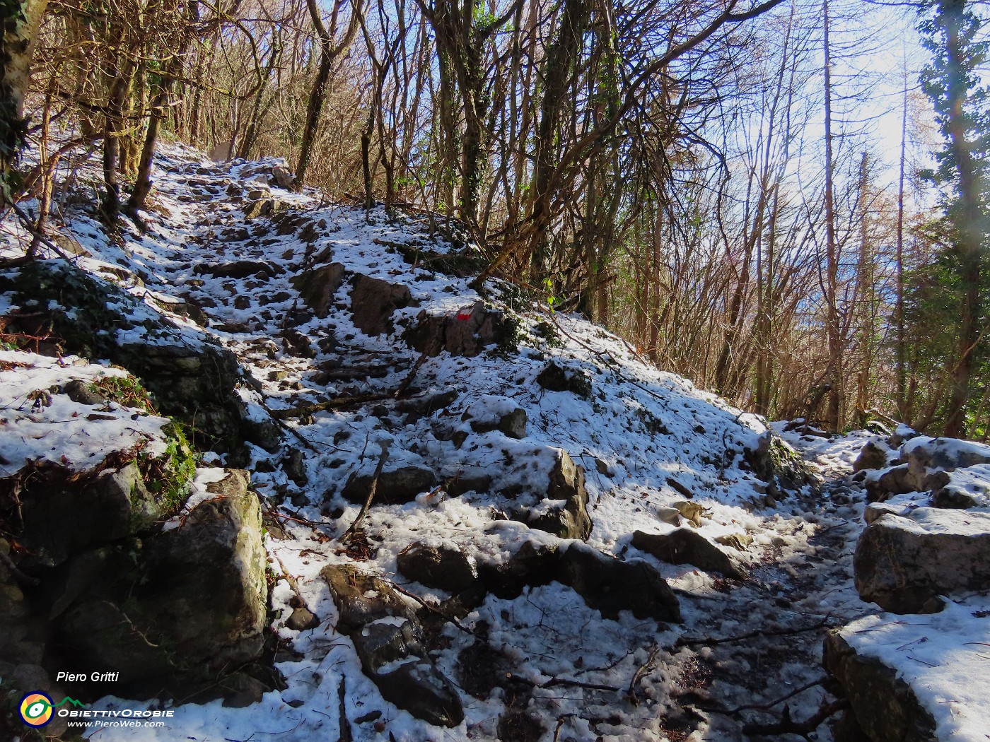 11 In salita seguo a dx  la variante bassa del sent. 505.JPG